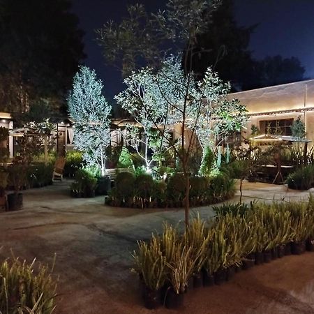 Utopia Hotel Boutique เม็กซิโกซิตี้ ภายนอก รูปภาพ