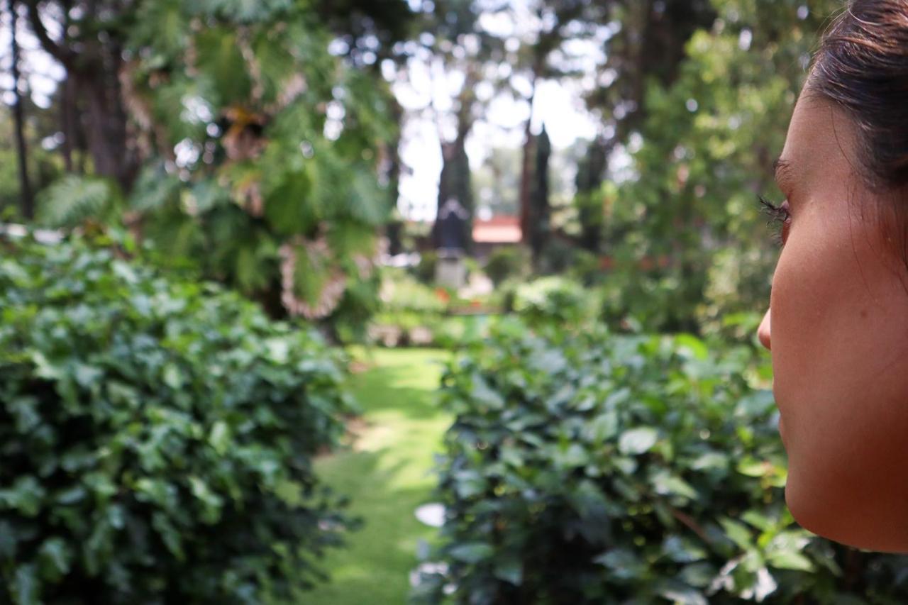 Utopia Hotel Boutique เม็กซิโกซิตี้ ภายนอก รูปภาพ
