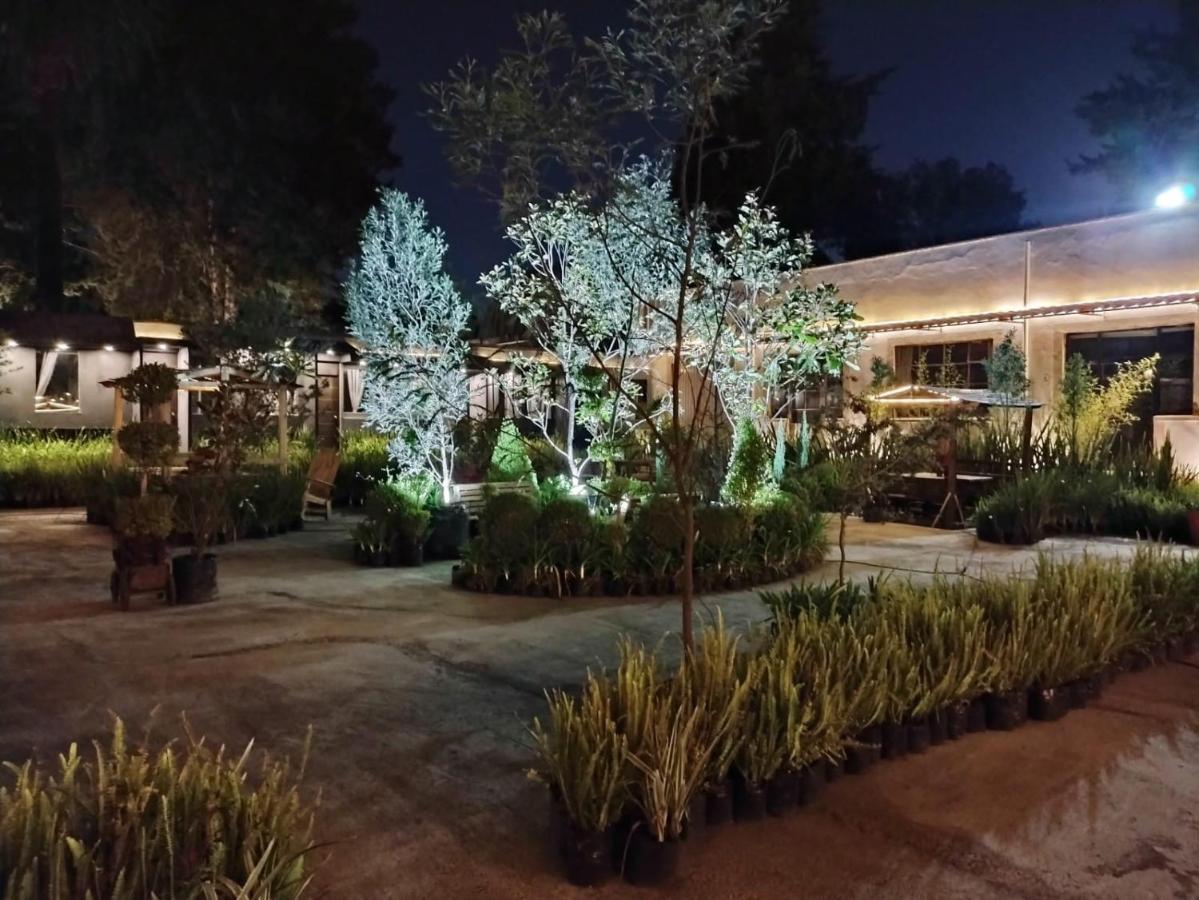 Utopia Hotel Boutique เม็กซิโกซิตี้ ภายนอก รูปภาพ
